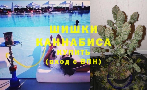 метадон Заводоуковск
