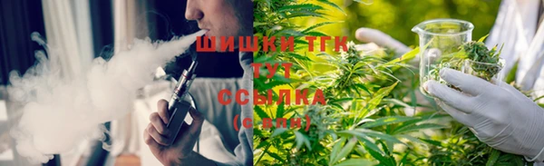 метадон Заводоуковск