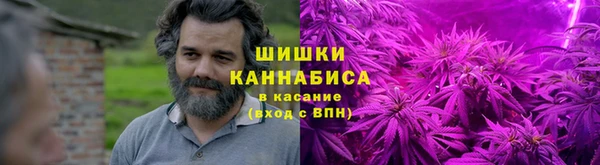 метадон Заводоуковск